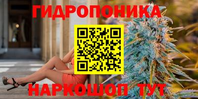 МДПВ Аша